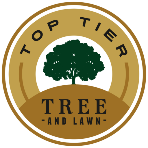 Top Tier Tree and Lawn Logo.