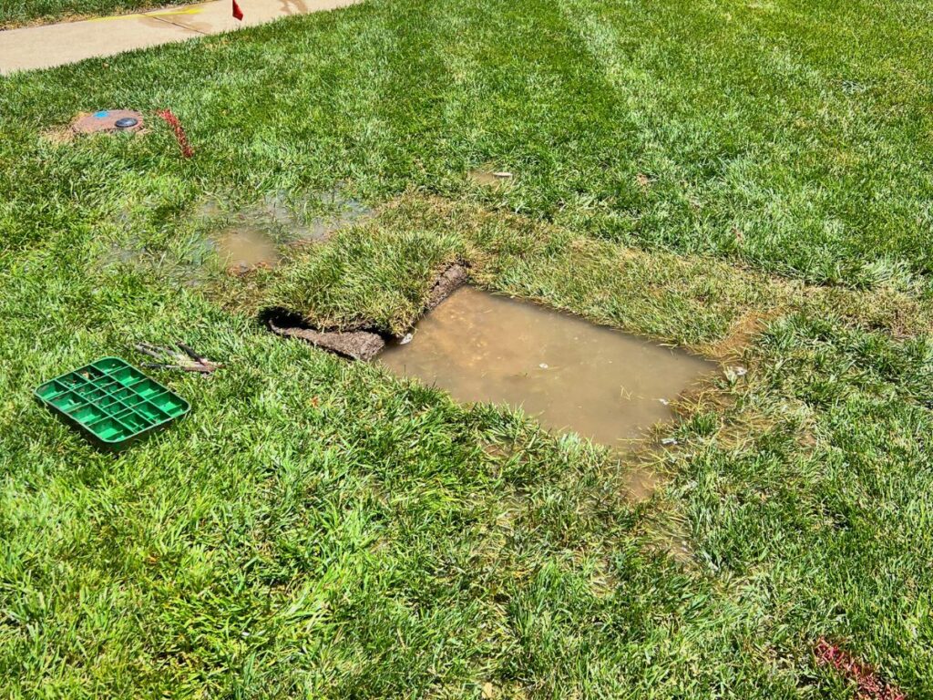 A rectangle of grass cut out in a yard exposing an in-ground sprinkler system.