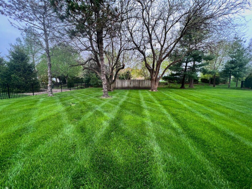 A lush green yard with neat mower lines visible.