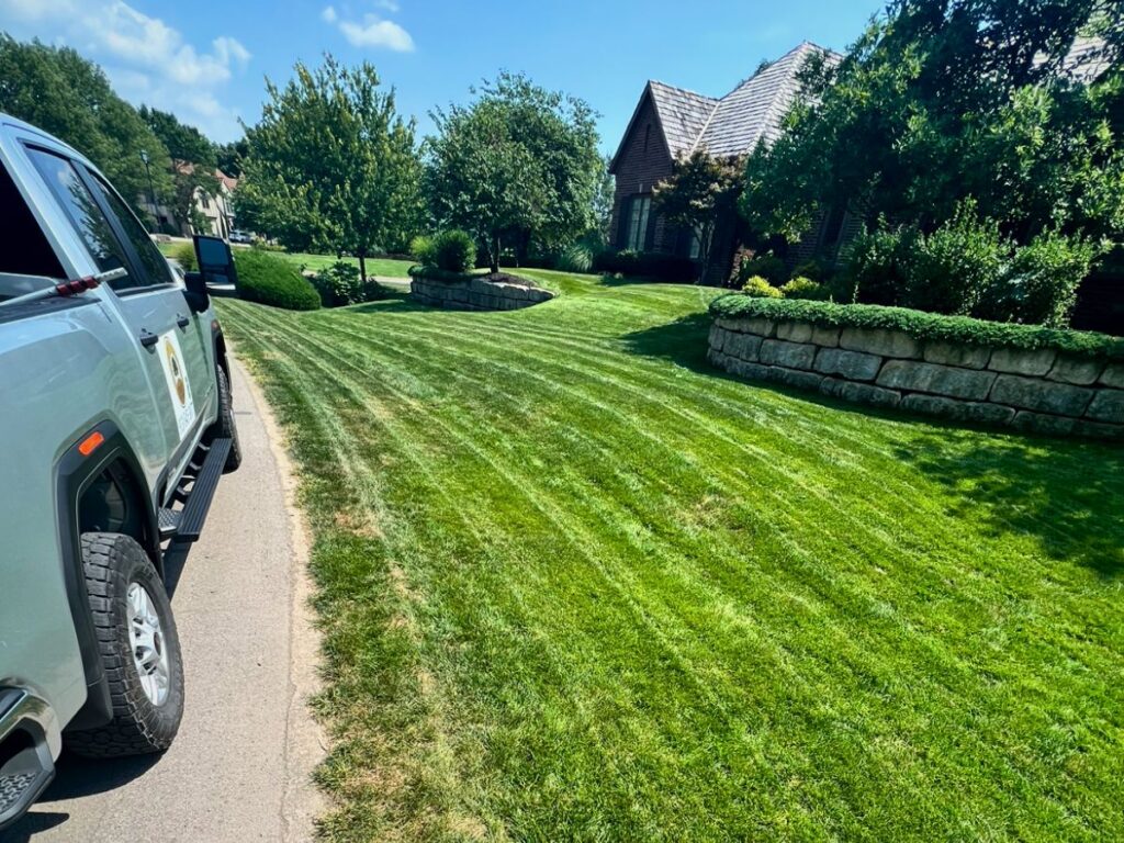 A stretch of green lawn needing to be renovated.