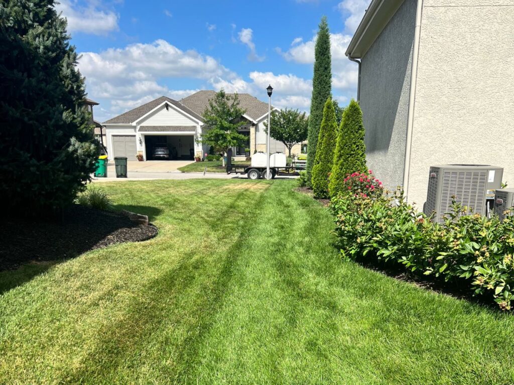 A well-maintained green yard next to a more neglected yard.