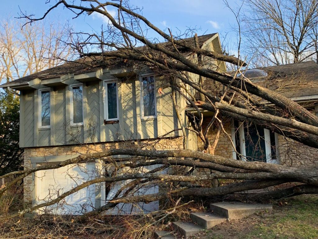 A large tree laying on a home with a damaged garage door and windows after a severe storm.