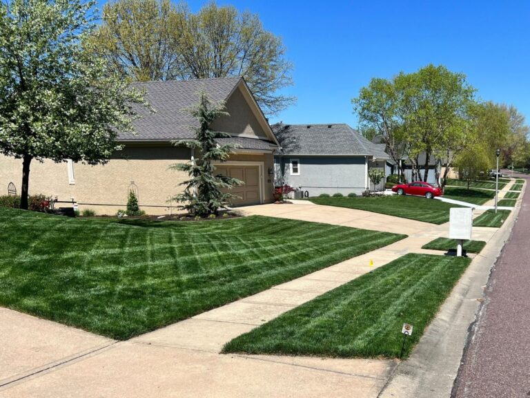 A freshly cut lawn on a suburban street lined with single family homes.