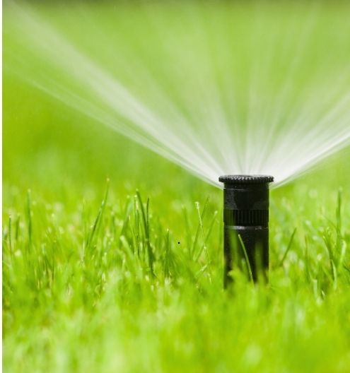 A black sprinkler head sprays cold water on a patch of green grass.