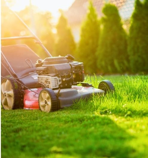 A push mower cutting a patch of green grass.
